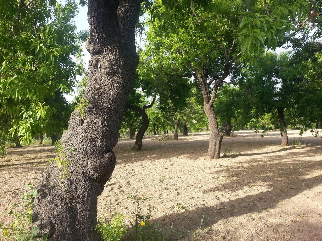 A Lumia Villa Ното Екстериор снимка