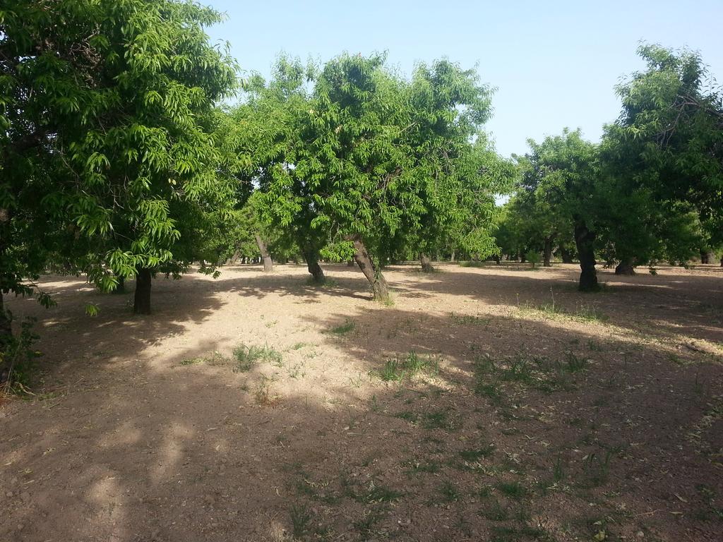 A Lumia Villa Ното Екстериор снимка