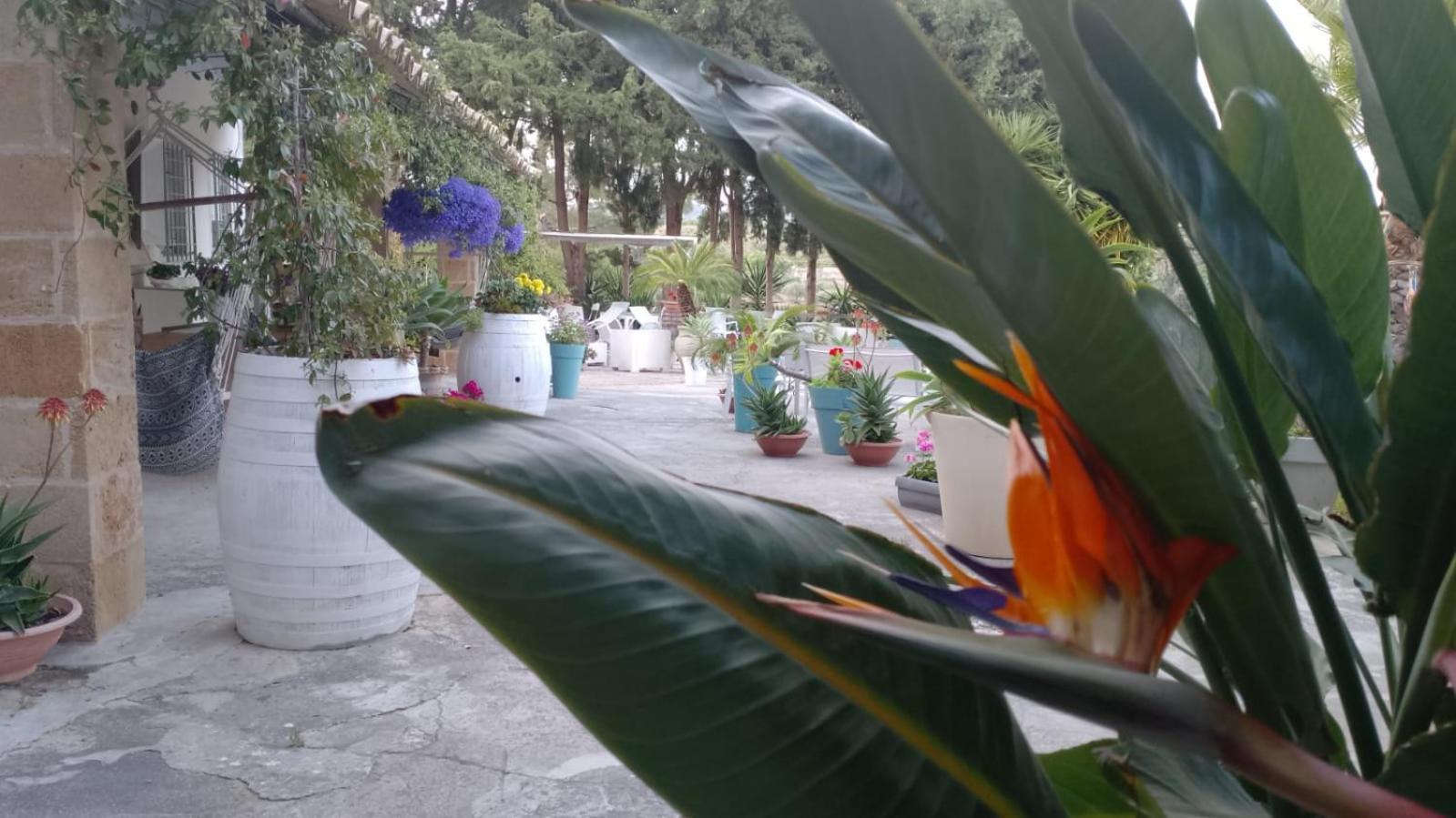 A Lumia Villa Ното Екстериор снимка
