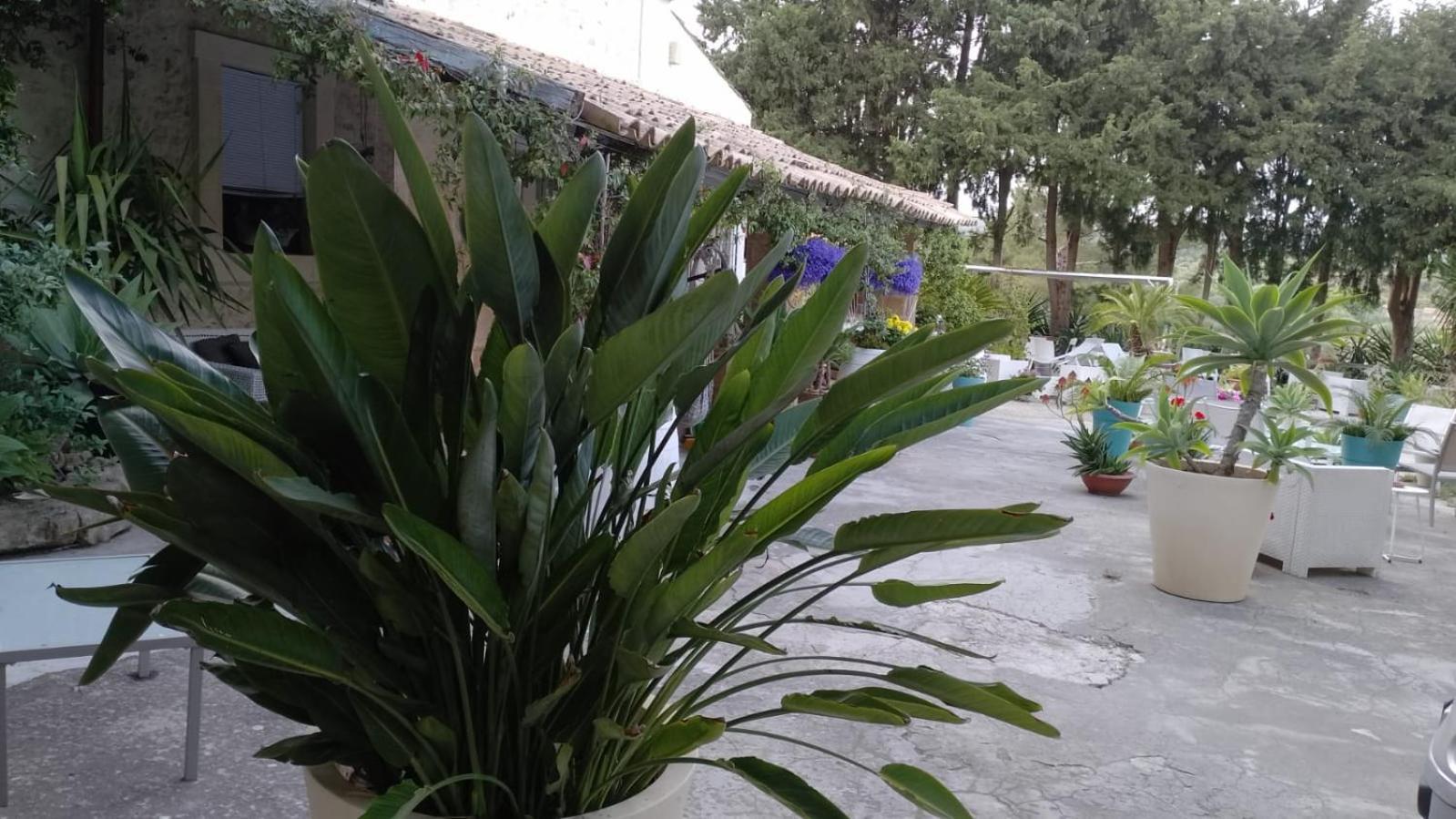 A Lumia Villa Ното Екстериор снимка